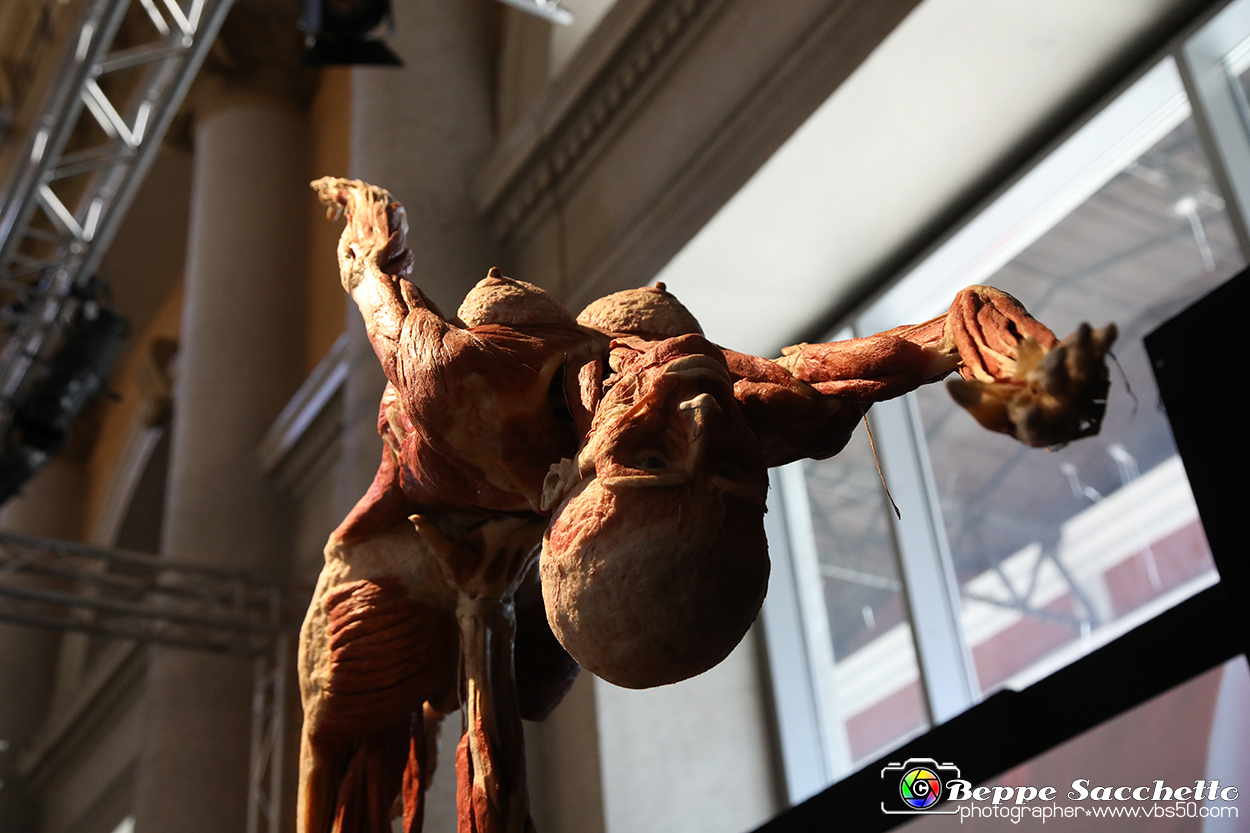 VBS_2818 - Mostra Body Worlds.jpg